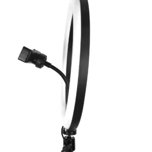LED Ring Light 26CM - LED Ring Light with Phone Holder | Best Quality Ring Light | Ring Light For Youtube Video | Ring Light For Tiktok Video